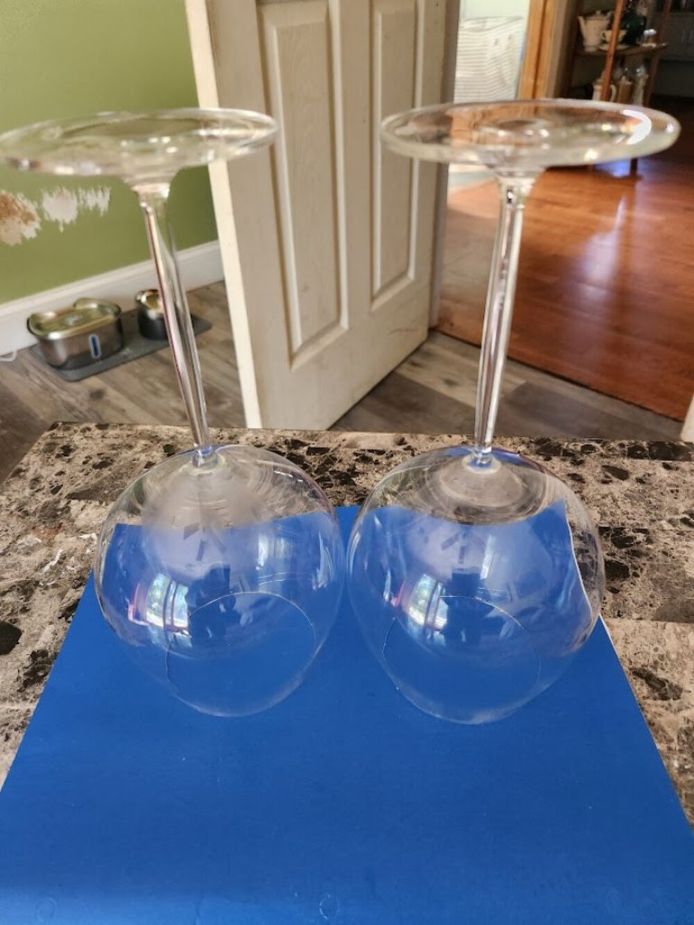 ziesal scott burgany wine glass